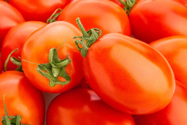 Verse Rijpe Tomaten Van Pruim Geïsoleerd Witte Achtergrond — Stockfoto
