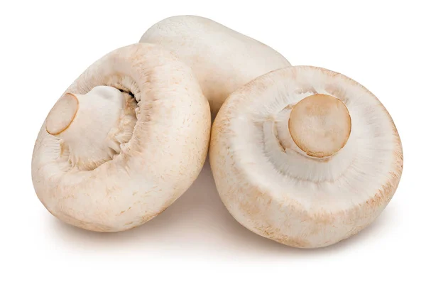 Cogumelos Champignon Isolados Sobre Fundo Branco — Fotografia de Stock