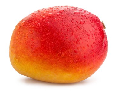 Beyaz arka plan üzerinde izole tek ıslak mango