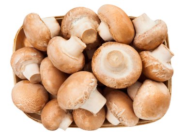 Beyaz arka plan üzerinde izole mantar yığını