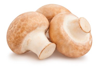 Üç mantar beyaz zemin üzerine izole