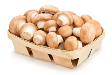 Beyaz arka plan üzerinde izole mantar sepeti