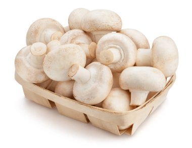 sepette beyaz arka plan üzerinde champignon mantar