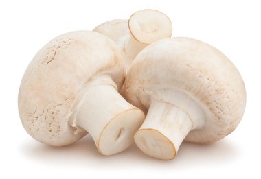 beyaz zemin üzerinde üç champignon mantar