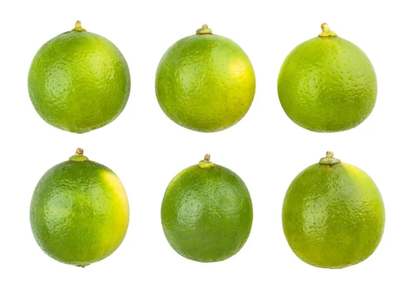 Beyaz Arka Plan Üzerinde Izole Limes Desen — Stok fotoğraf