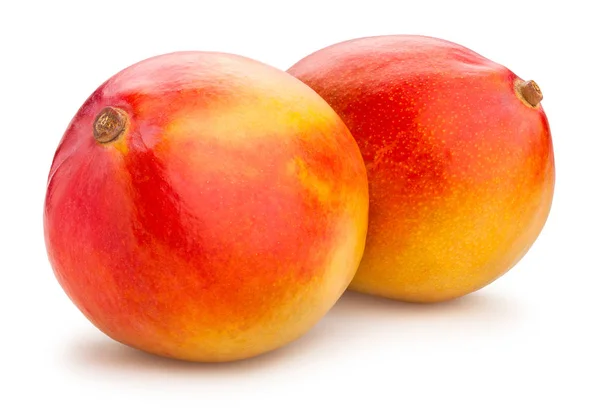 Two Mango Fruit Isolated White Background — Stock Photo, Image