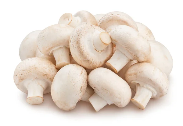 Pilha Cogumelos Champignon Fundo Branco — Fotografia de Stock