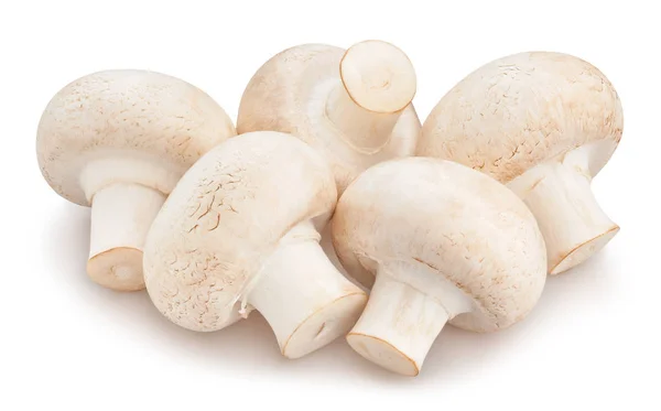 Haufen Champignon Pilze Auf Weißem Hintergrund — Stockfoto