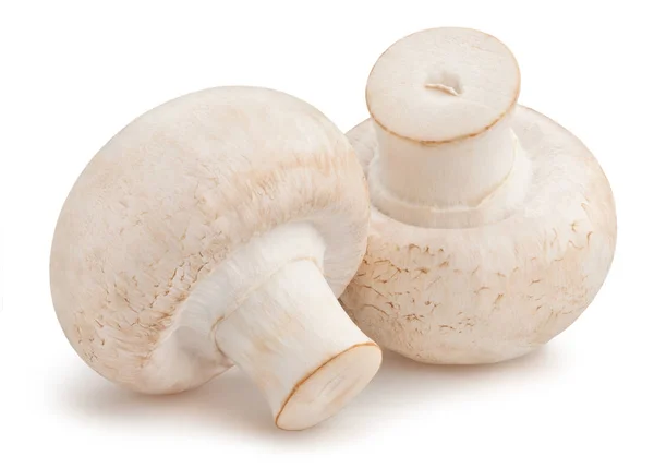 Dois Cogumelos Champignon Fundo Branco — Fotografia de Stock