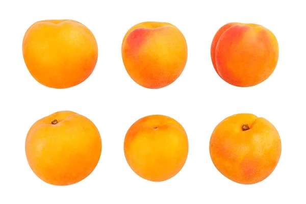 Apricot — Stock Photo, Image