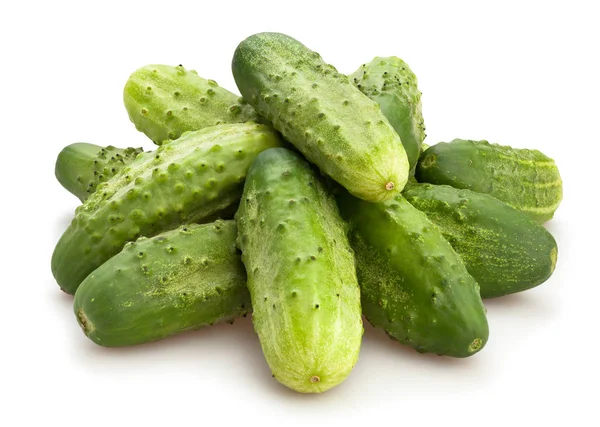 Pepino — Foto de Stock