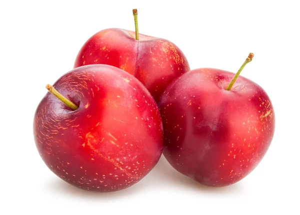 Prune roșii — Fotografie, imagine de stoc