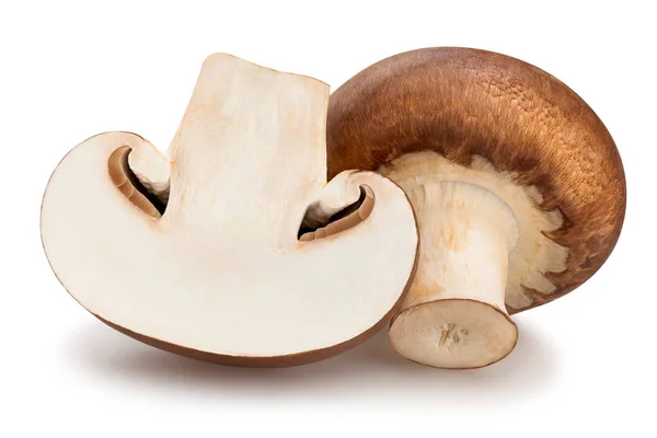 Bruine paddestoelen — Stockfoto