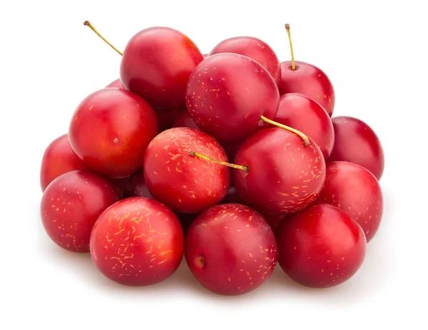 Cherry plum — Stock Photo, Image