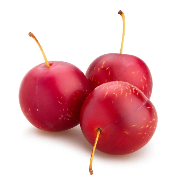 Prugna di ciliegie — Foto Stock