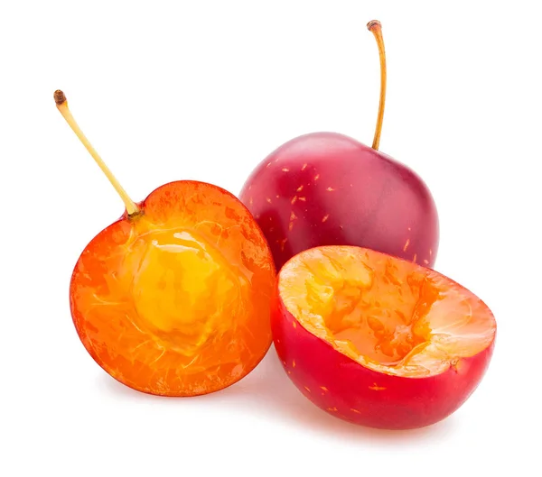 Cherry plum — Stock Photo, Image