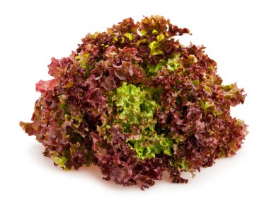 Beyaz arka plan üzerinde izole kırmızı marul