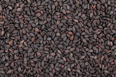 siyah susam doku closeup