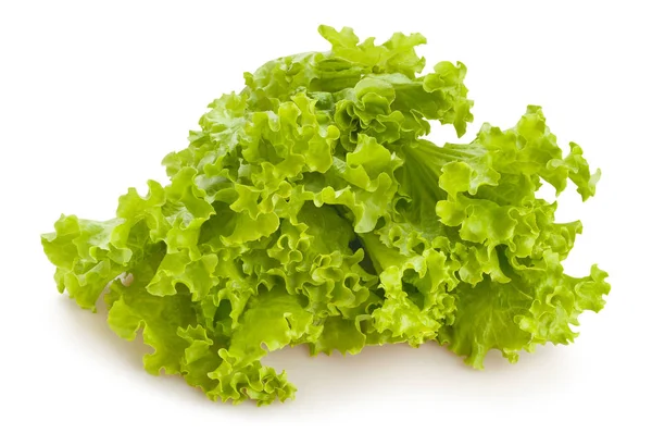 Lechuga Fresca Aislada Sobre Fondo Blanco — Foto de Stock