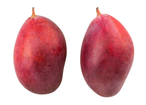 Mango — Stock Photo, Image