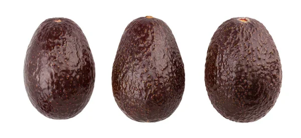 Haß-Avocado — Stockfoto