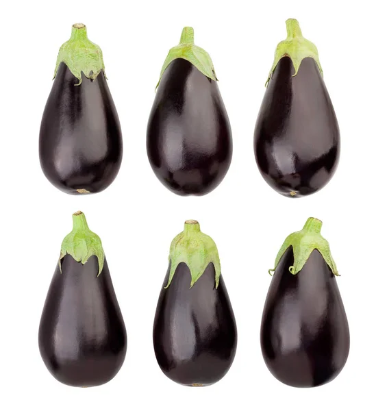 Aubergine — Stockfoto