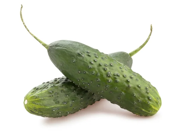 Pepino — Fotografia de Stock