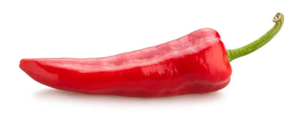 Lange paprika — Stockfoto