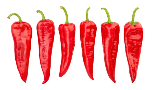 Long sweet peppers — Stock Photo, Image