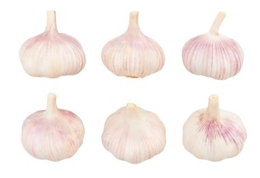 sarımsak yolu üzerinde beyaz izole