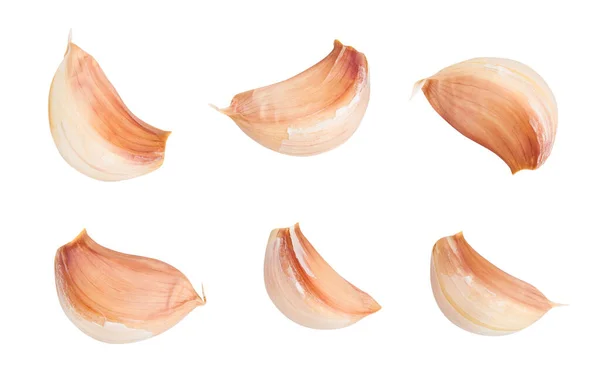 Garlic Clove Path Isolated White — Stock Photo, Image