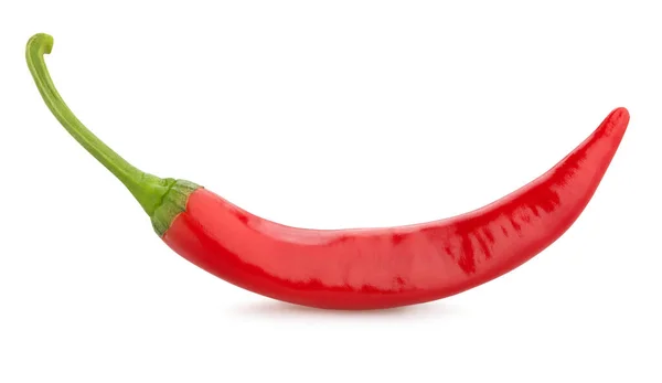 Chili Peper Pad Geïsoleerd Wit — Stockfoto