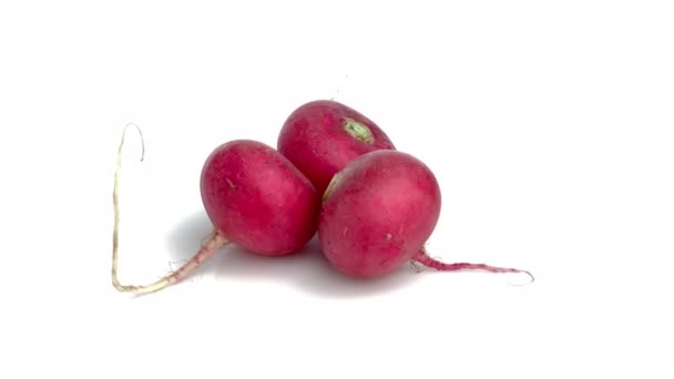 Red Radishes White Background — Stock Video