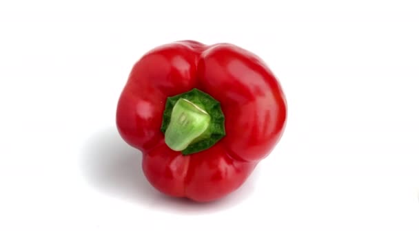 Röd Bell Pepper Vit Bakgrund — Stockvideo