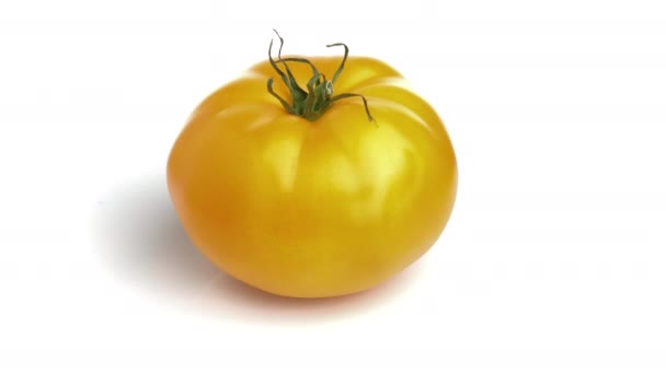 Tomate Amarelo Sobre Fundo Branco — Vídeo de Stock