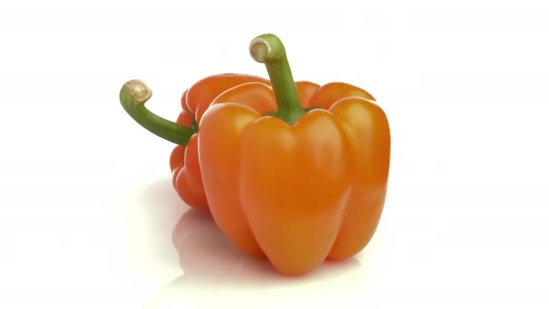 Orange Bell Pepper Isolerad Vit Bakgrund — Stockvideo