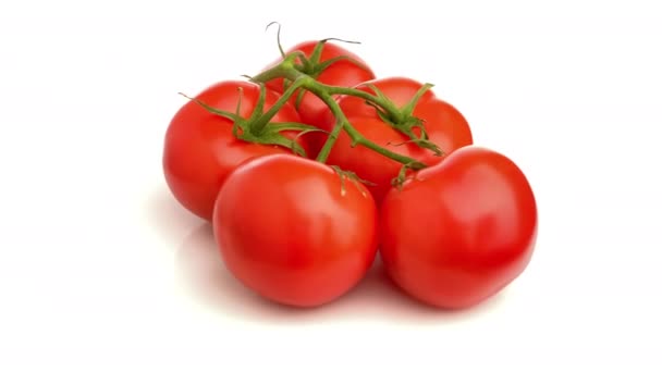 以白色背景隔离的番茄 — 图库视频影像