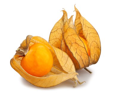 physalis yolu beyaz üzerinde izole