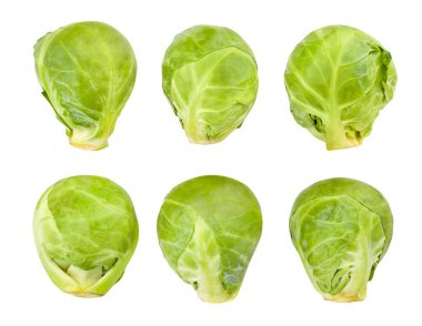 Brüksel lahanası beyaz yolda izole edilmiş.