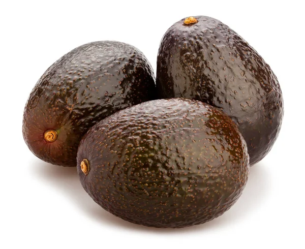 Hass Percorso Avocado Isolato Bianco — Foto Stock