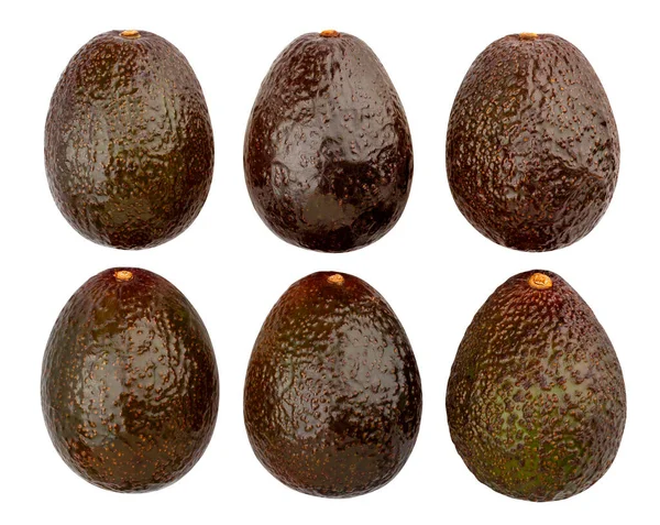 Hass Avocado Pfad Isoliert Auf Weiß — Stockfoto