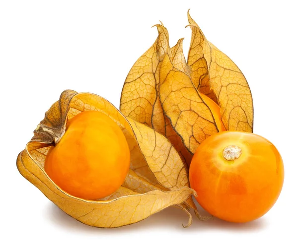 Physalis Väg Isolerad Vit — Stockfoto