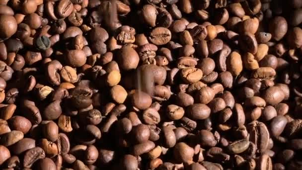 Кофейные Зерна Падают Медленное Движение Большая Группа Вращается Крупным Планом — стоковое видео