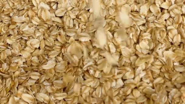 Oat Flakes Falling Slow Motion Large Group Rotating Closeup — Stock Video