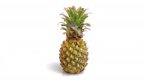 Ananas Niemowlęcy Izolowany Białym — Wideo stockowe