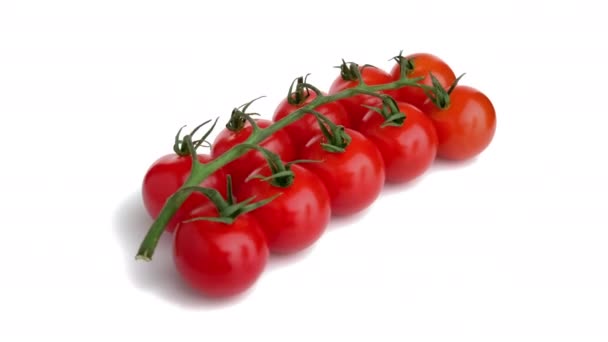 Tomate Cereza Aislado Blanco — Vídeo de stock