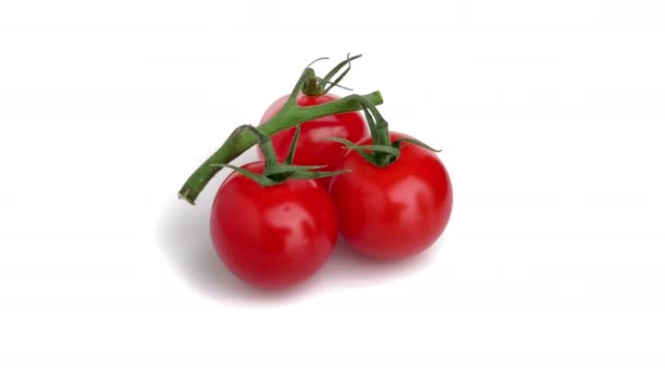 토마토는 흰색으로 분리되었다 — 비디오