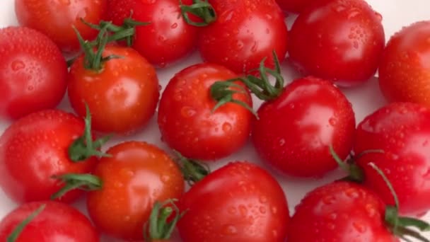 Tomat Ceri Direndam Kelompok Rotasi Besar — Stok Video