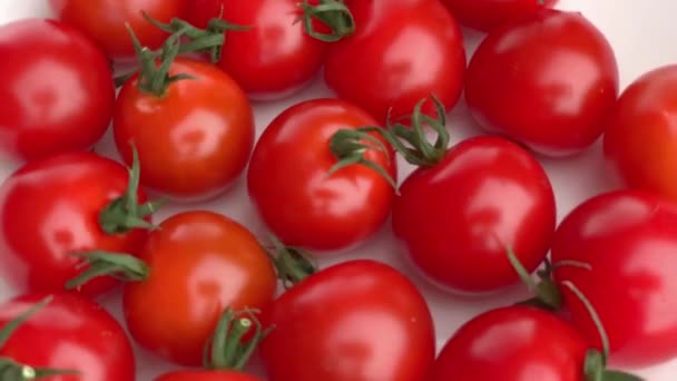 Pomodoro Ciliegia Grande Gruppo Rotante — Video Stock