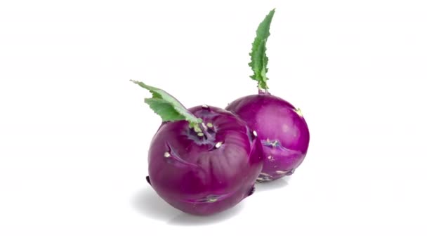 Purple Kohlrabi Isolated White — Stock Video